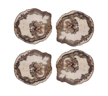 Snevayig Petrified Wood Drink Coasters in Natural & Brown, Set of 4 in a Gift Box