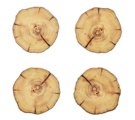 Snevayig Woodland Drink Coasters in Natural & Brown, Set of 4 in a Gift Box