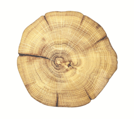 Snevayig Woodland Placemat in Natural & Brown, Set of 4